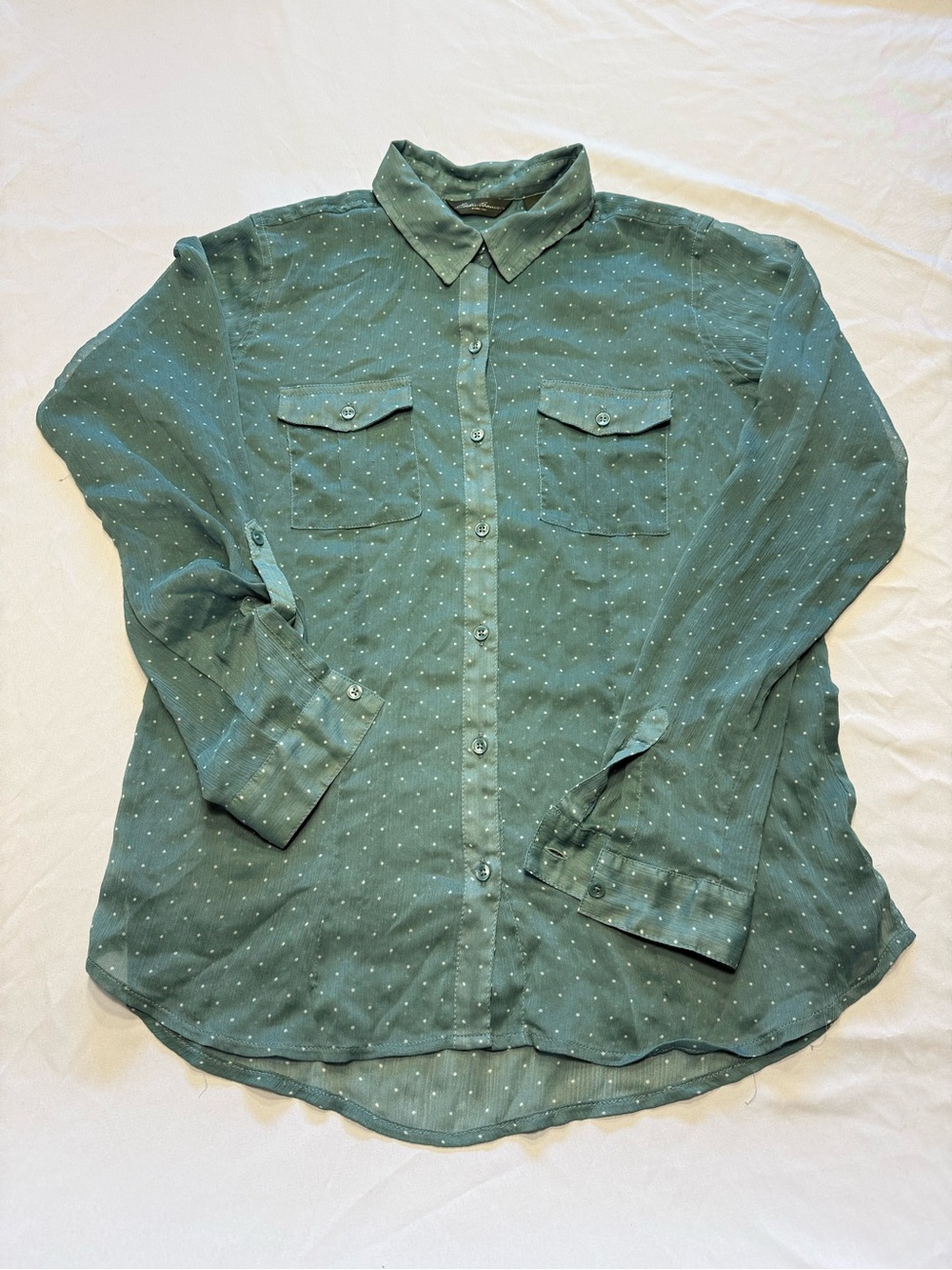 Eddie Bauer Teal Green Long-Sleeve Button-Down Shirt